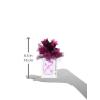 imageLove Struck Eau De Parfum Spray for Women by Vera Wang 34 Ounce1 Count Pack of 2