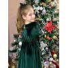imageRolanko Girls Velvet Fall Dress Square Neck Puff Long Sleeve Christmas Party Dress Kids with Pockets 512 YGreen