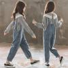 imageRolanko Girls Overalls Denim Bib Distressed Jumpsuit Kids Blue Baggy Jean Pants 414 Years with PocketsA4grey