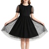 image:imageRolanko Girls Short Puff Sleeve Dress Contrast Mesh Ruffle Crew Neck Elegant Flower Girl Wedding Prom Summer DressBlack