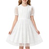 image:imageRolanko Girls Short Puff Sleeve Dress Contrast Mesh Ruffle Crew Neck Elegant Flower Girl Wedding Prom Summer DressWhite