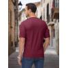 imageMAGCOMSEN Mens Henley Shirts Short Sleeve Casual Collarless Shirt Quick Dry Summer TShirts Golf Workout TopsWine Red
