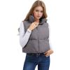 imageMAGCOMSEN Womens Cropped Puffer Vest Lightweight Zip Up Stand Collar Winter Fashion Outerwear Sleeveless Padded GiletGreypurple