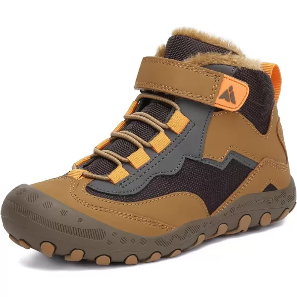 Brown 36