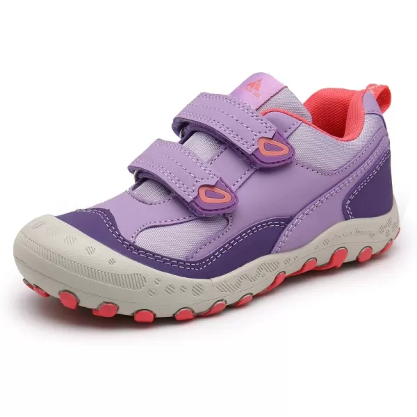 Purple-233
