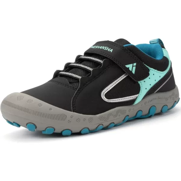 Black/Blue 166