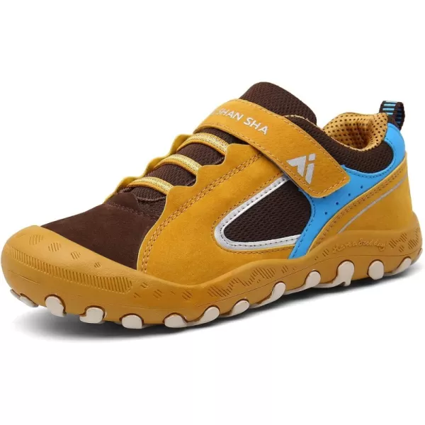 Brown/Blue 166