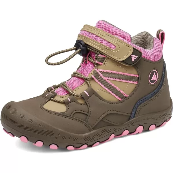 Brown/Pink-039