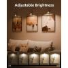imageEZVALO Picture Lights for Wall2000mAh Rechargeable Battery Magnetic Poster Lights with 2 Color Tempsampamp12 RGBRemote Dimmable Timer Painting LightWall Decor Light for Art DisplayPictureFrame6 PackGold