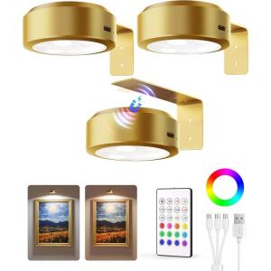 imageEZVALO Picture Lights for Wall2000mAh Rechargeable Battery Magnetic Poster Lights with 2 Color Tempsampamp12 RGBRemote Dimmable Timer Painting LightWall Decor Light for Art DisplayPictureFrame6 PackGold