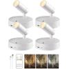 imageEZVALO Spotlights Indoor with Remote5500mAh Rechargeable Plant Spotlight Indoor Wireless LED Uplighting with TimerDimmable 3CCT Picture Lights for PaintingArtworkAccent Lighting2PackBlackWhite