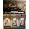 imageEZVALO Spotlights Indoor with Remote5500mAh Rechargeable Plant Spotlight Indoor Wireless LED Uplighting with TimerDimmable 3CCT Picture Lights for PaintingArtworkAccent Lighting2PackBlackBlack