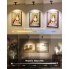 imageEZVALO Spotlights Indoor with Remote5500mAh Rechargeable Plant Spotlight Indoor Wireless LED Uplighting with TimerDimmable 3CCT Picture Lights for PaintingArtworkAccent Lighting2PackBlackBlack