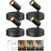 imageEZVALO Spotlights Indoor with Remote5500mAh Rechargeable Plant Spotlight Indoor Wireless LED Uplighting with TimerDimmable 3CCT Picture Lights for PaintingArtworkAccent Lighting2PackBlackBlack