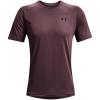 Ash Plum (554)/Black