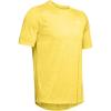 Eureka Yellow (191)/White