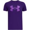 (500) Purple / / Lavish