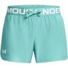 (482) Radial Turquoise / / White