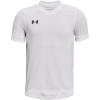 (100) White / / Black