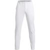 White (100)/Pitch Gray