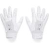 (100) White / Distant Gray / Metallic Silver