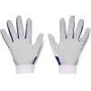 imageUnder Armour TeenBoys Clean Up 21 GlovesRoyal 400Royal