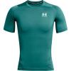 Coastal Teal (722)