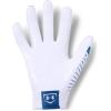 imageUnder Armour Womens Motive Baseball GloveBlue White White