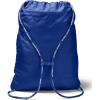 imageUnder Armour Adult Undeniable 20 Sackpack  Black 001Silver  One Size Fits AllRoyal Blue 400Silver