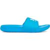 (428) Electric Blue/Electric Blue/White