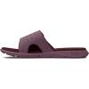 (601) Misty Purple/Deep Red/Deep Red