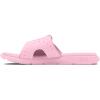 (604) Pink/Pink/Pink