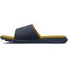 (402) Downpour Gray/Downpour Gray/Gilded Yellow