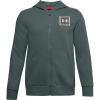 Lichen Blue (424)/Halo Gray