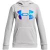 (014) Halo Gray Medium Heather / / Iridescent