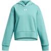 (482) Radial Turquoise / / White