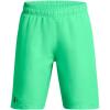 (299) Vapor Green / / Black