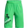 (316) Green Screen / / Greenwood