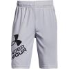 Mod Gray (011)/Black