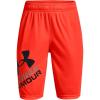 Phoenix Fire (296)/Black
