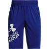 Royal Blue (400)/White