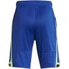 imageUnder Armour Boys Stunt 30 Shorts432 Tech Blue  Morph Green  Black