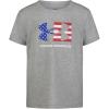 Freedom - Gray