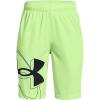 Summer Lime (162)/Black
