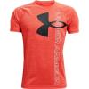 Dark Orange (860)/Black