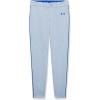 imageUnder Armour Boys Utility Baseball Pant Pipe081 Baseball Gray  Royal  Royal