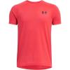 (713) Racer Red / / Black