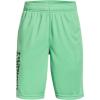 Matcha Green (342)/Black