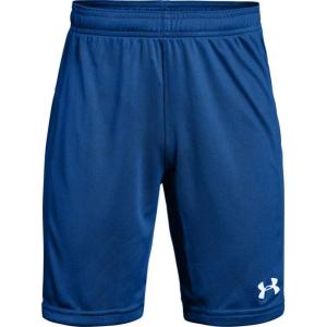 imageUnder Armour Boys Prototype 20 Wordmark ShortsBlue White