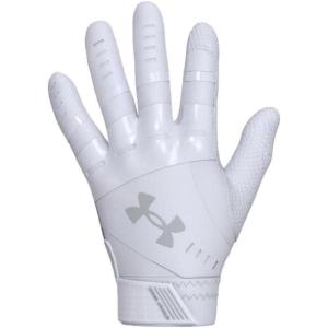 imageUnder Armour Womens Radar Softball Gloves100 White  White  Halo Gray